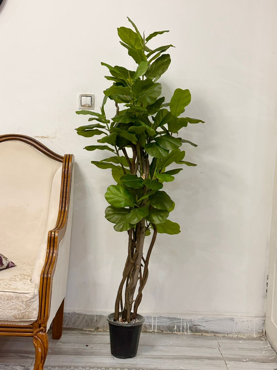 خرید درختچه مصنوعی لیراتا