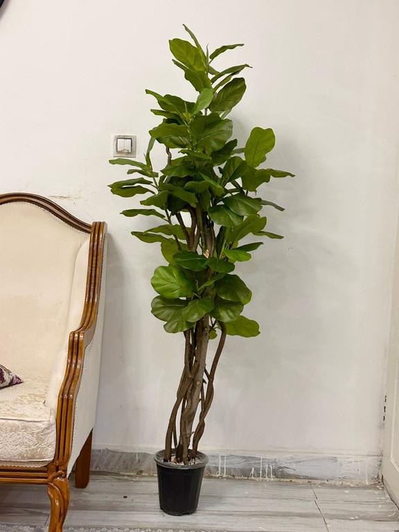 خرید درختچه مصنوعی لیراتا