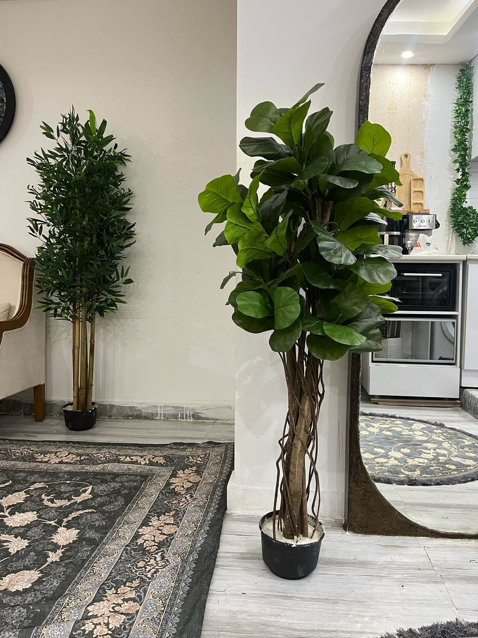 خرید درختچه لیراتا با کیفیت بالا و قیمت مناسب