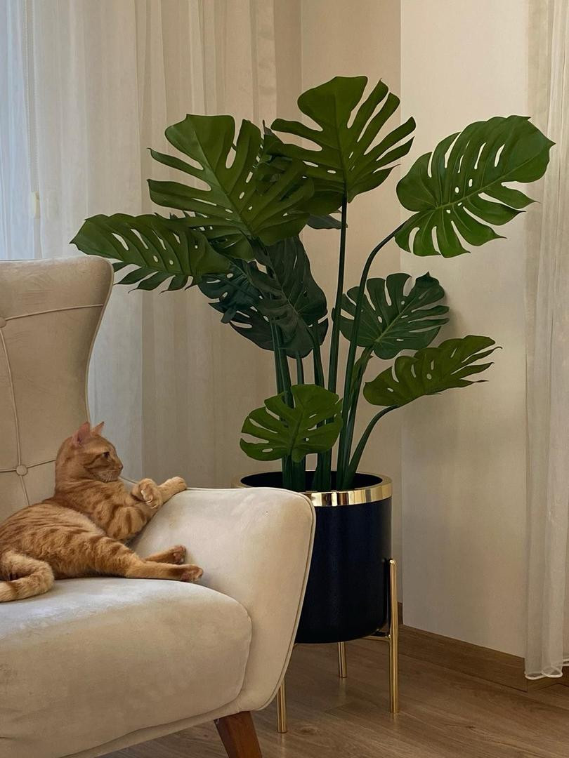 خرید درختچه مصنوعی برگ انجیری قد ۱۶۰