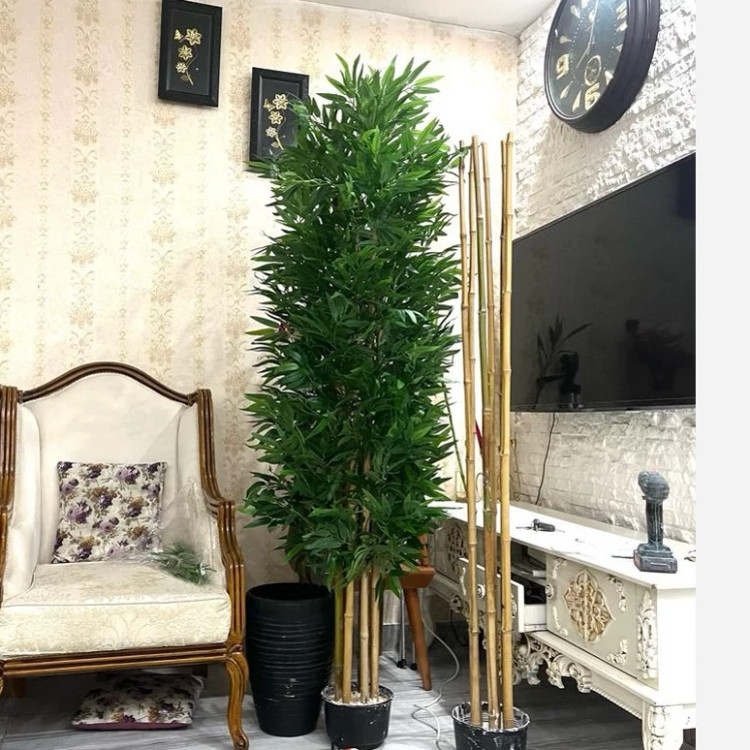 خرید درختچه مصنوعی بامبو قد ۱۷۰ با برگ های لمسی