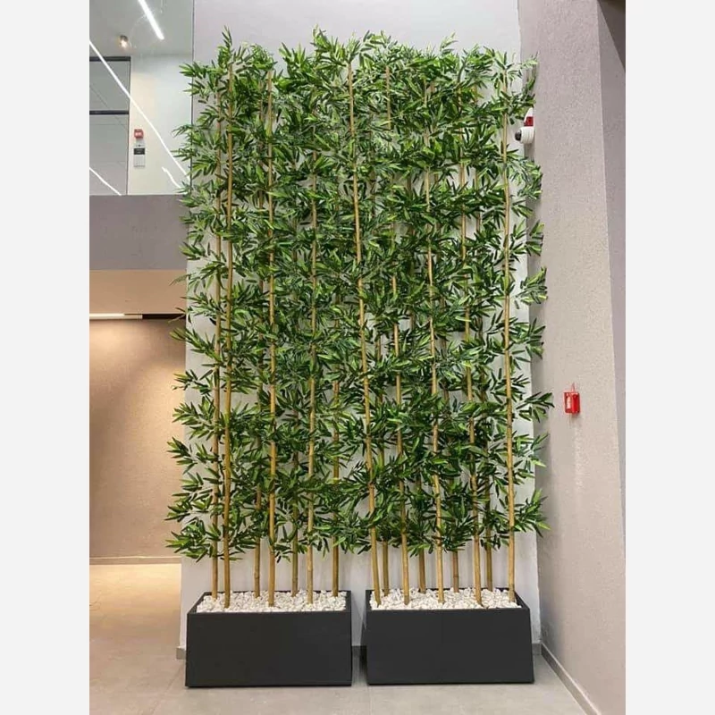 شاخه بامبو پارتیشنی