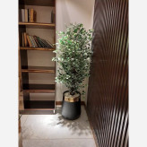 خرید درختچه مصنوعی بنجامین مدل ابلق