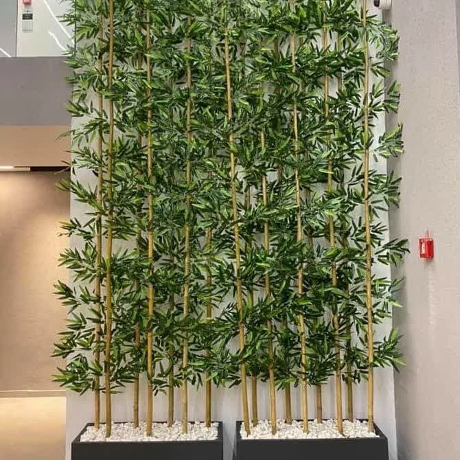 شاخه بامبو پارتیشنی