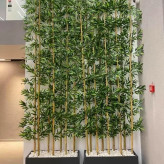 شاخه بامبو پارتیشنی