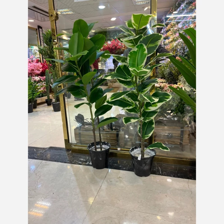 خرید درختچه مصنوعی فیکوس