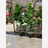 خرید گل مصنوعی فیلتوس مدل سبز