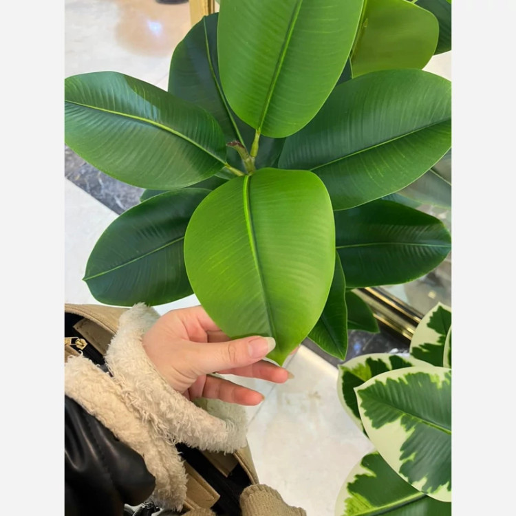 خرید گل مصنوعی فیلتوس قد ۱۳۰