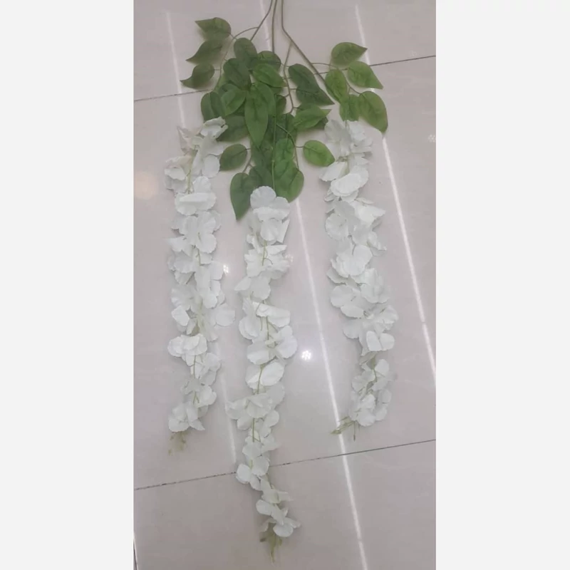 گل اقاقیا رنگ سفید