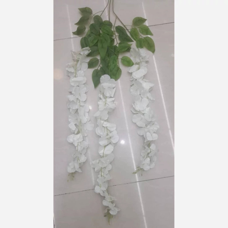 گل اقاقیا رنگ سفید