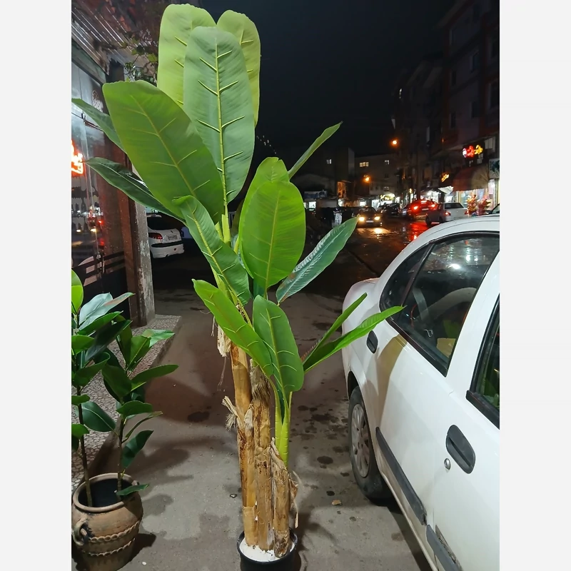 خرید درختچه مصنوعی موز با ارتفاع ۱۹۰ سانت و باکیفیت برگ های لمسی
