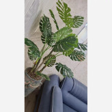 درختچه مصنوعی برگ انجیری فول کیفیت و سوپر طبیعی