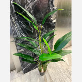 خرید درختچه مصنوعی پرنده بهشتی با برگ های لمسی و قابل شست شو