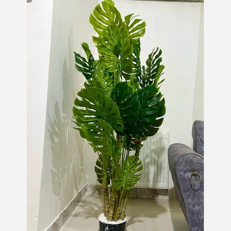 خرید درختچه مصنوعی برگ انجیری بابرگ های لمسی و قابل شست شو