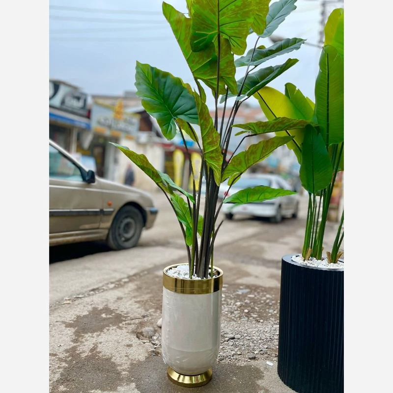 خرید درختچه مصنوعی باباآدم با کیفیت و قیمت مناسب