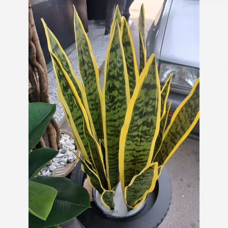 خرید گل مصنوعی سانسوریا