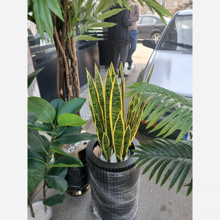 خرید گل مصنوعی سانسوریا لمسی و قابل شست شو