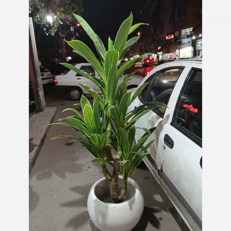 خرید درختچه مصنوعی بلالی قد ۱۸۰