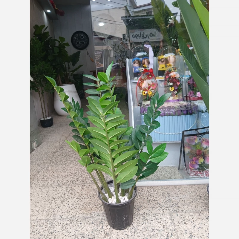 خرید گل مصنوعی زاموفیلیا