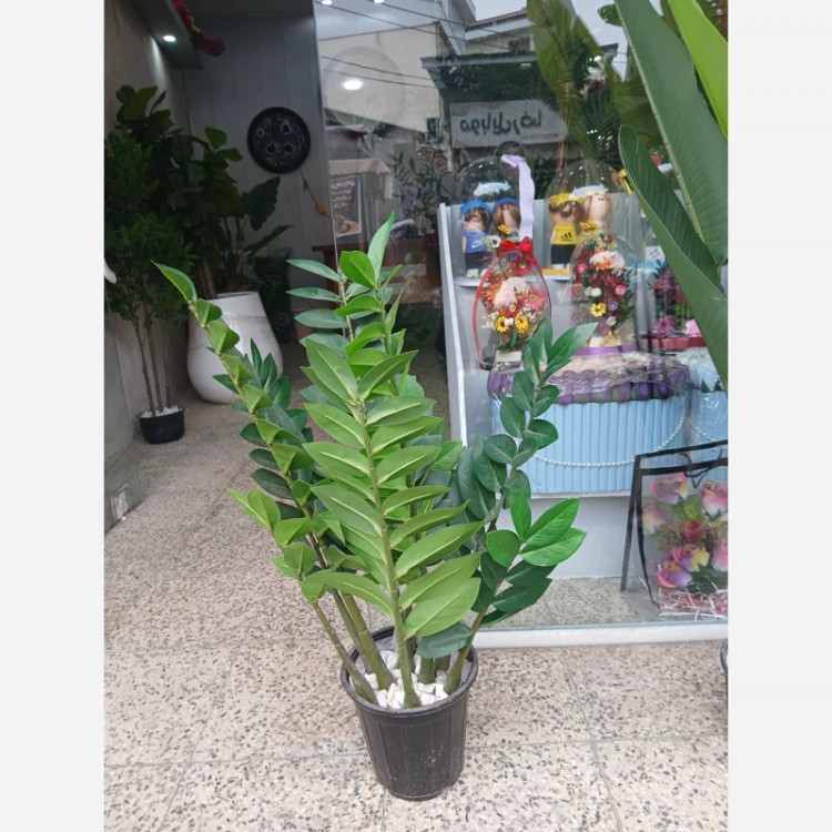 خرید گل مصنوعی زاموفیلیا