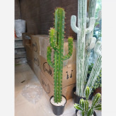 خرید درختچه مصنوعی کاکتوس قد ۱۶۰