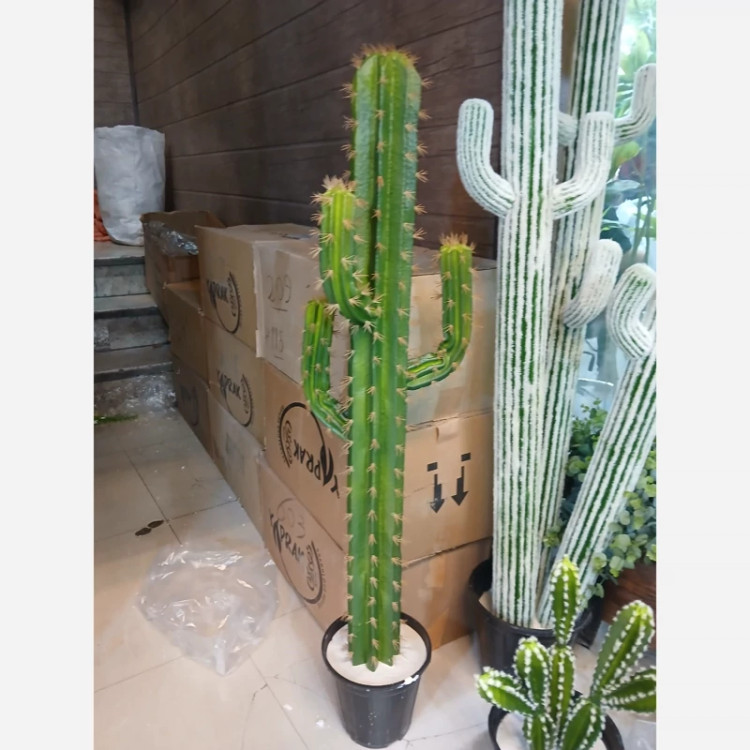 خرید درختچه مصنوعی کاکتوس قد ۱۶۰