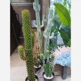 درختچه مصنوعی کاکتوس جنس لاتکس