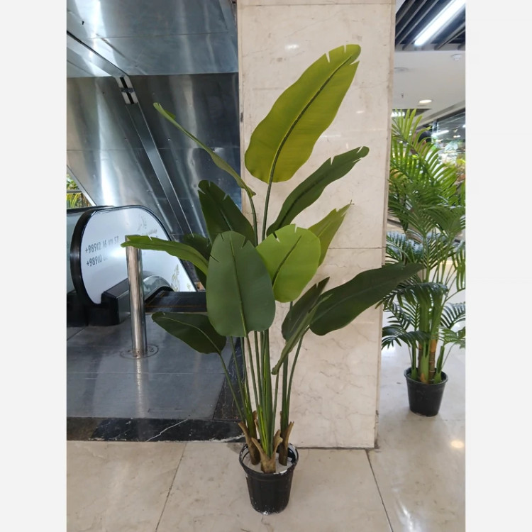 درختچه مصنوعی نیکولای