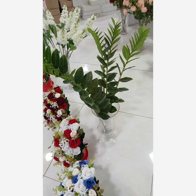 شاخه زاموفیلیا