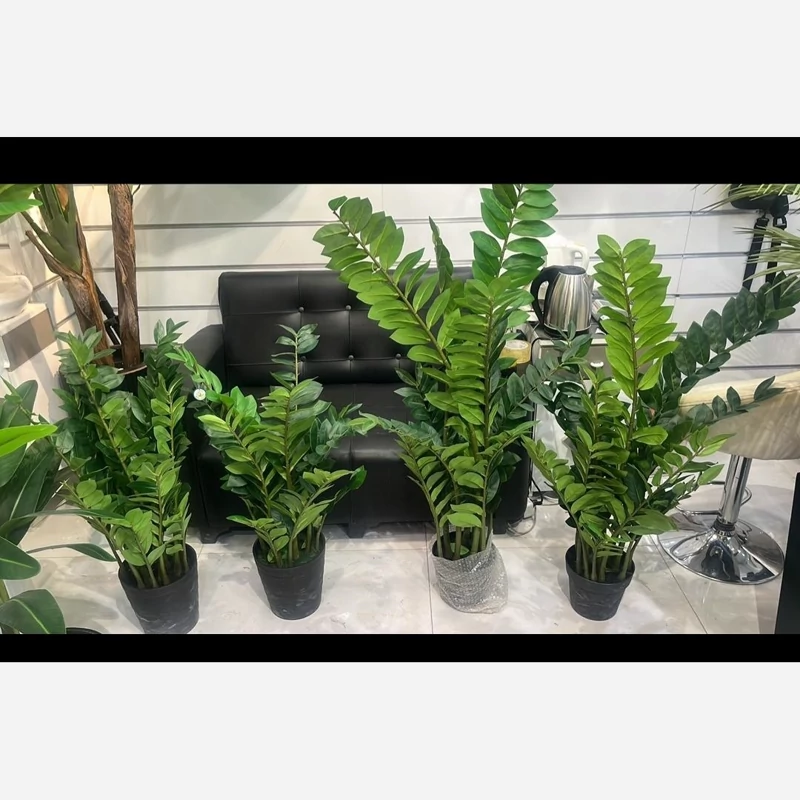 خرید گل مصنوعی زاموفیلیا