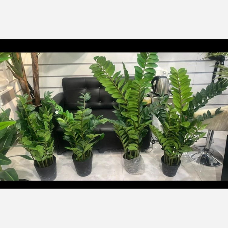 خرید گل مصنوعی زاموفیلیا