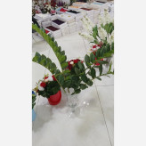 خرید زاموفیلیا مصنوعی با قیمت مناسب و برگ لمسی