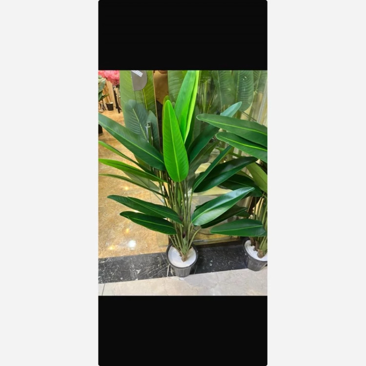 خرید درختچه مصنوعی پرنده بهشتی برگ سوزنی