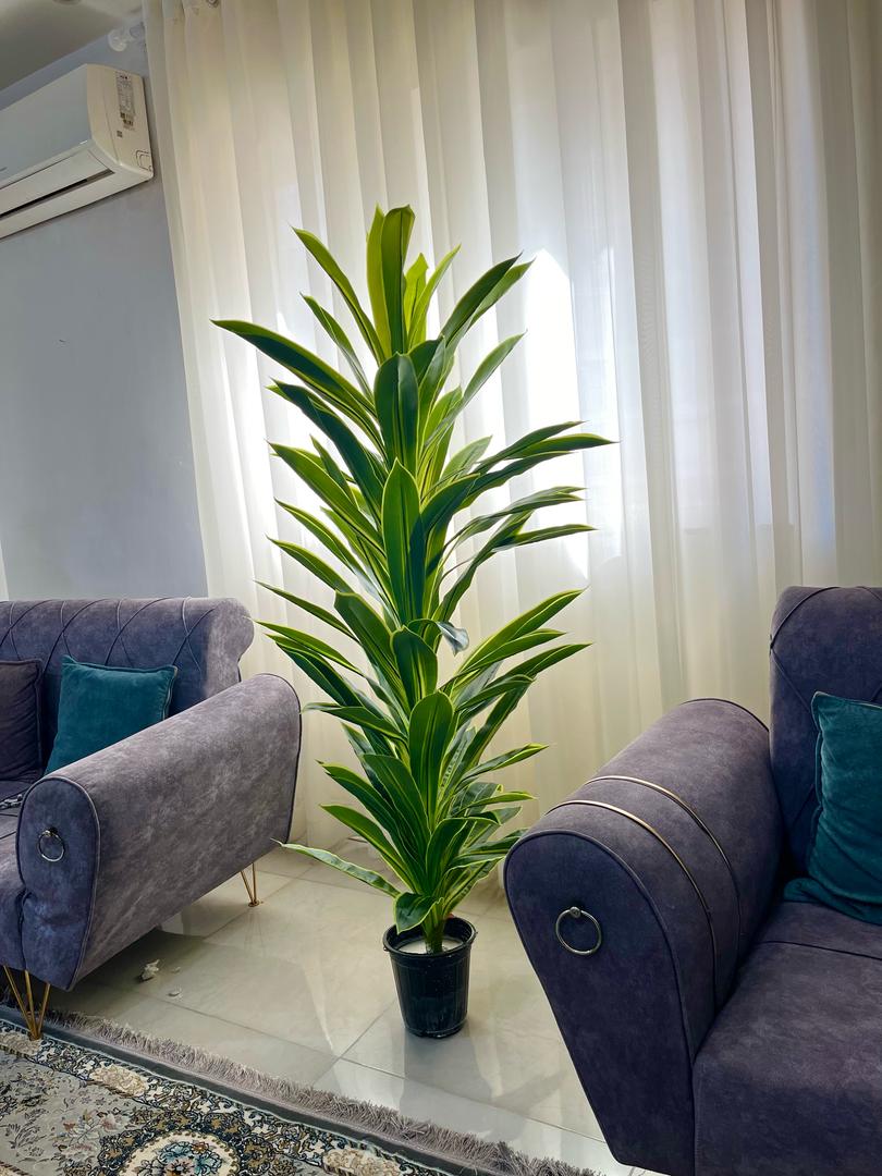 درختچه مصنوعی بلالی  پرحجم و باکیفیت عالی