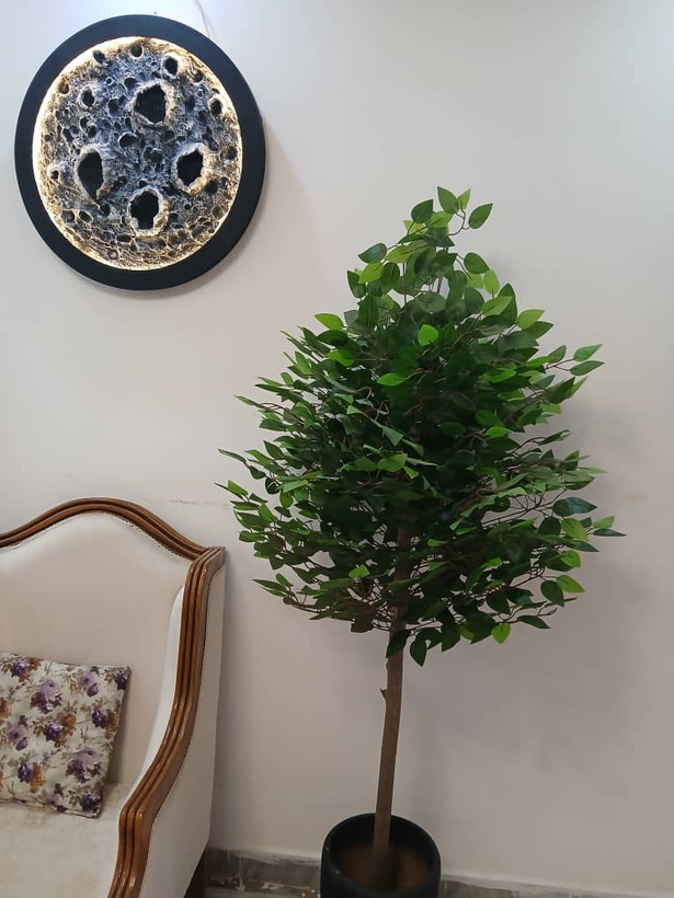 درختچه مصنوعی بنجامین