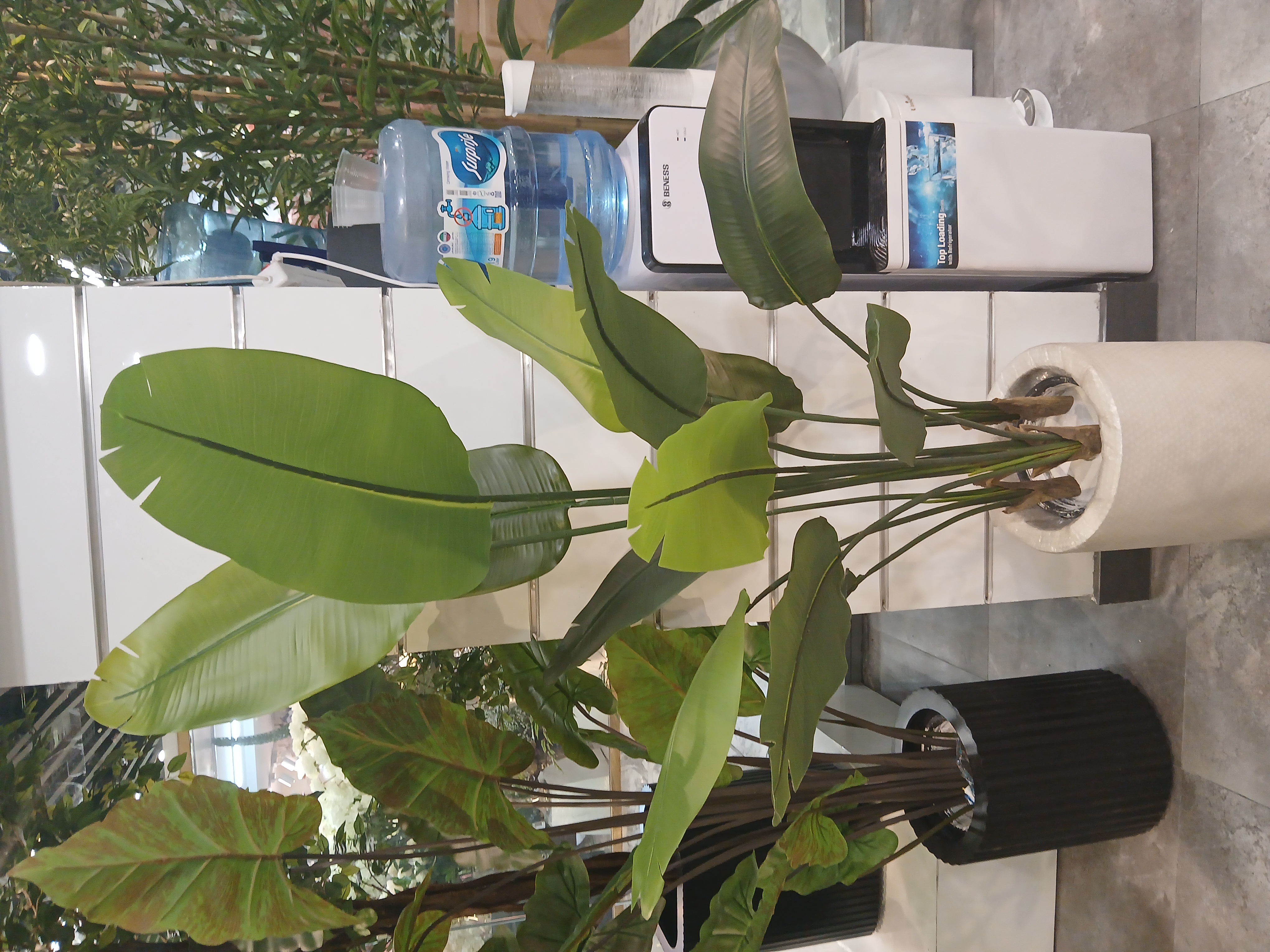 درختچه مصنوعی پرنده بهشتی کاملا مشابه طبیعی