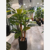 خرید درختچه مصنوعی موز سه تنه