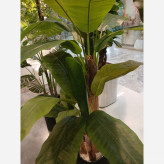 خرید درختچه مصنوعی موز با گلدان