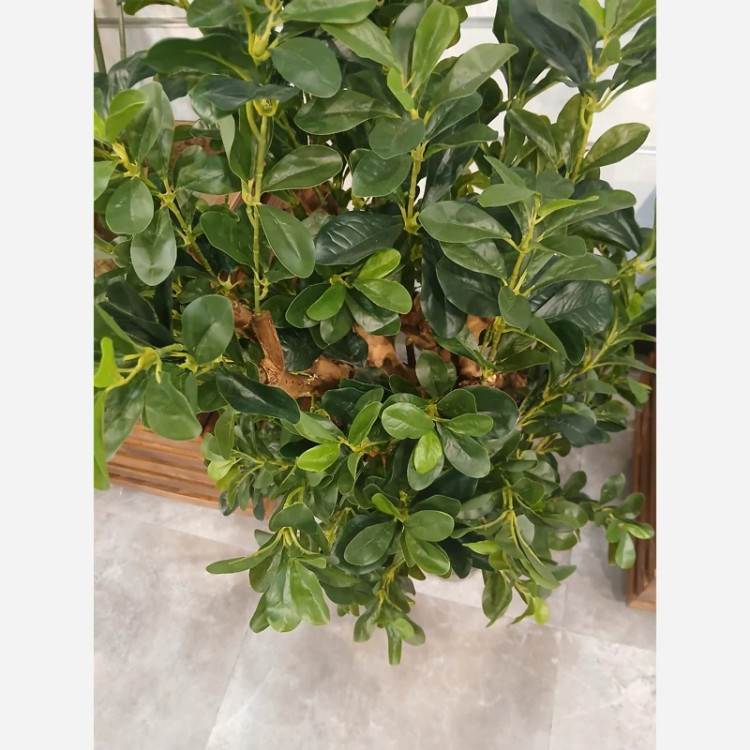 خرید درختچه مصنوعی شفلرا