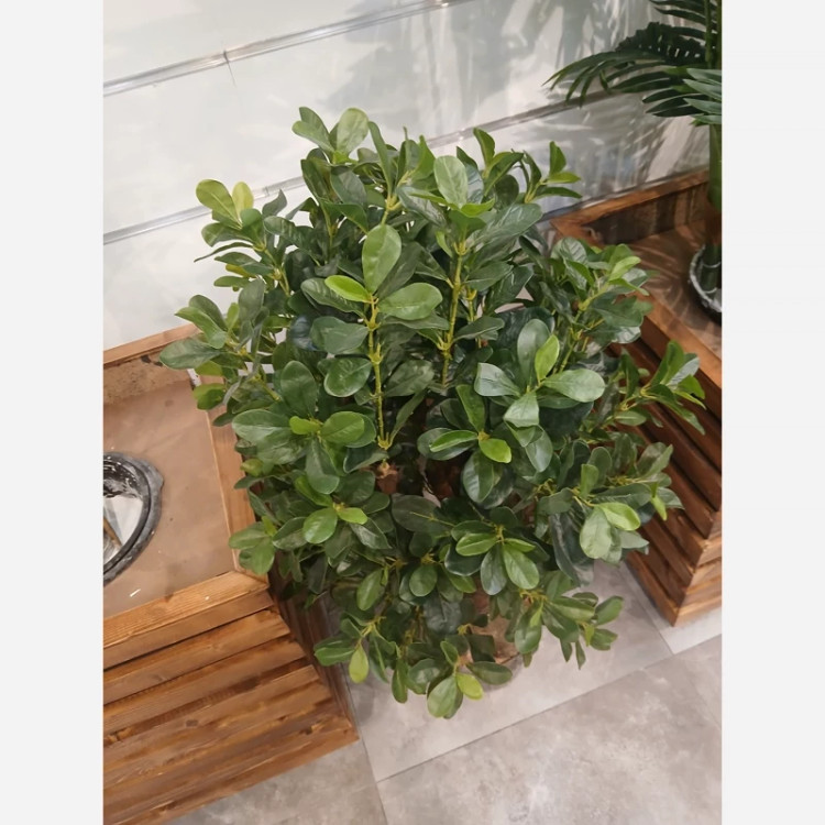 درختچه مصنوعی شفلرا با برگ های لمسی