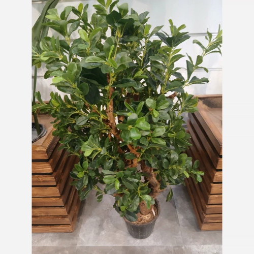 خرید گل مصنوعی شفلرا