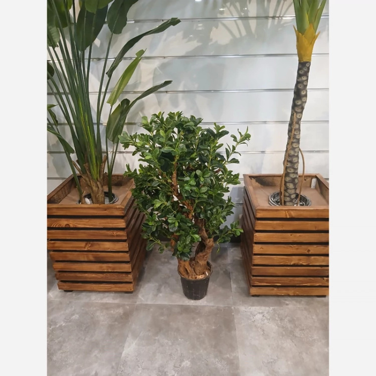 خرید درختچه مصنوعی شفلرا با تنه طبیعی