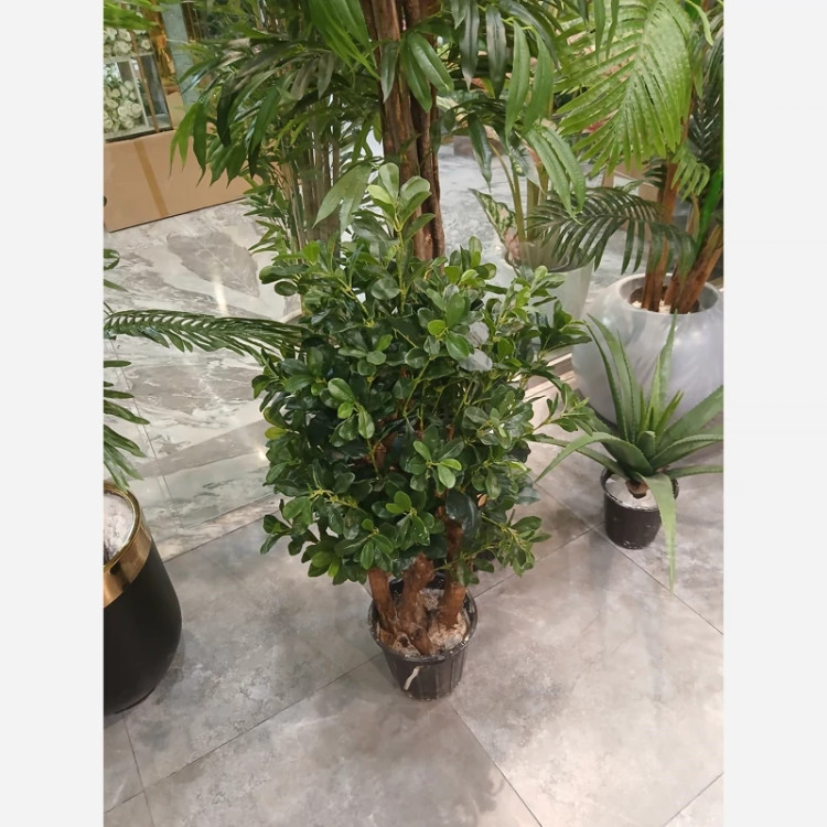 گل مصنوعی شفلرا پر حجم و با کیفیت