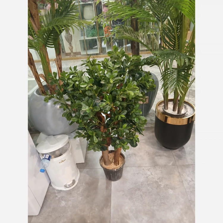 خرید درختچه مصنوعی شفلرا قد ۱ متری