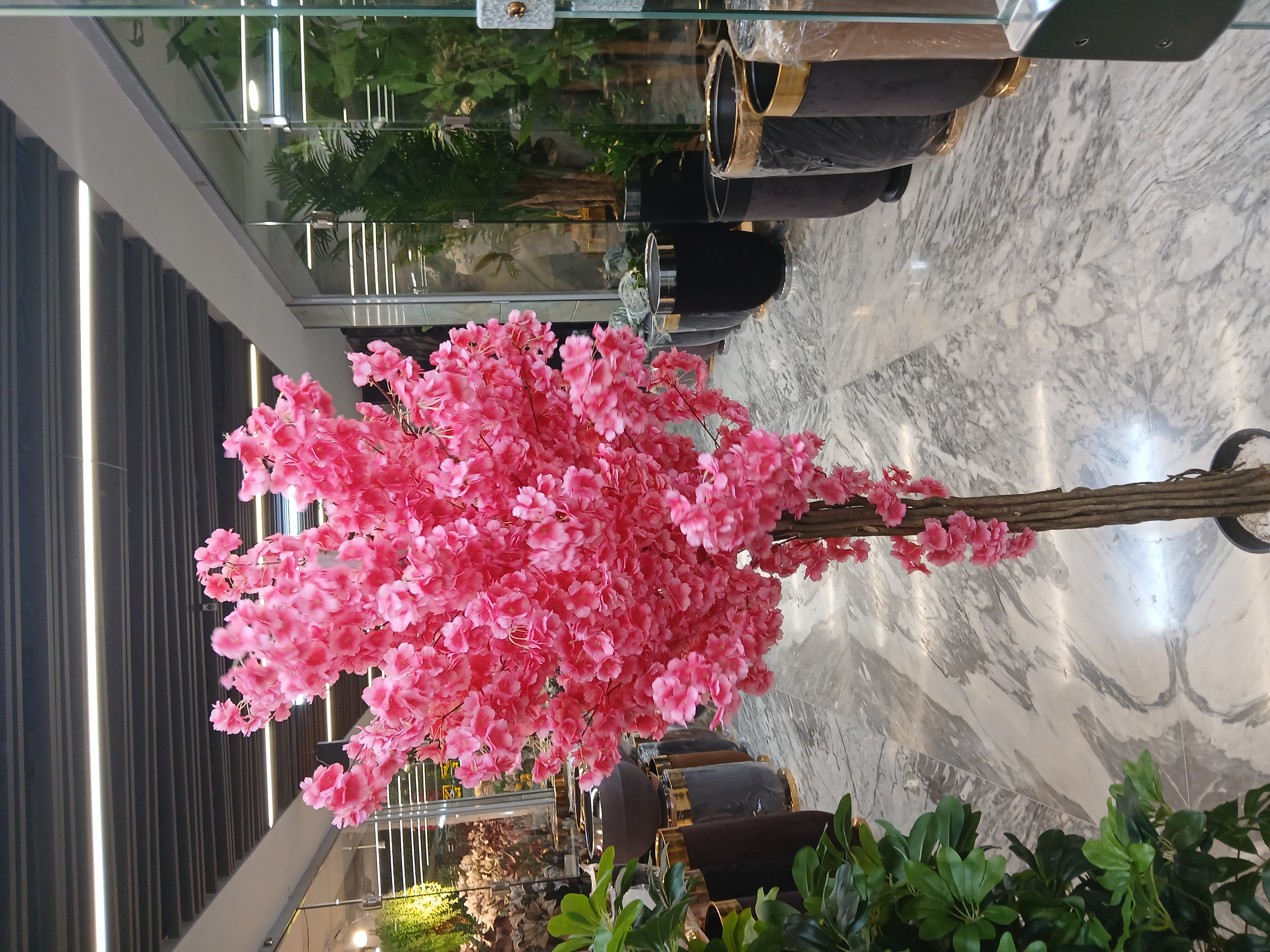 خرید درختچه شکوفه برگدار