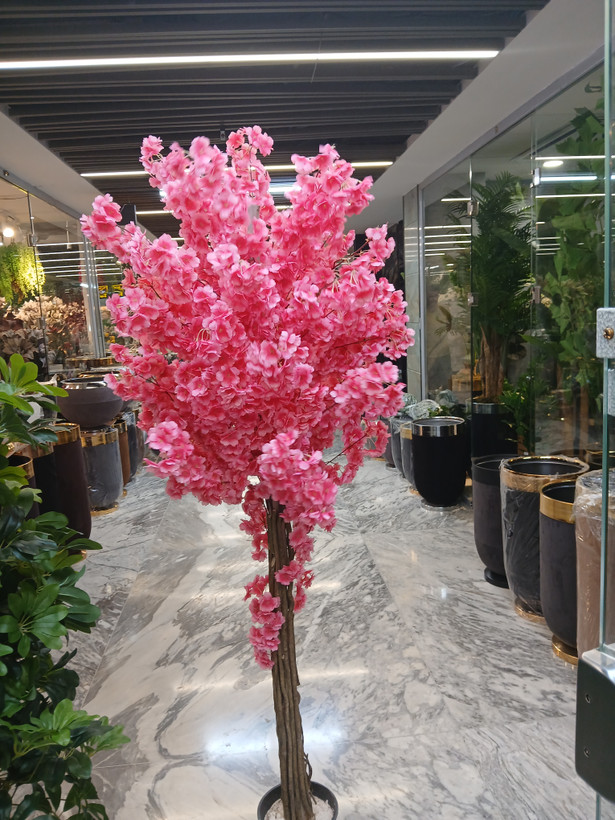 خرید درختچه شکوفه برگدار