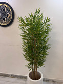 خرید درختچه مصنوعی بامبو پر حجم