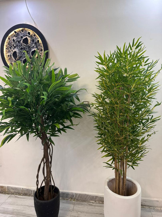 خرید درختچه مصنوعی بامبو با تنه طبیعی