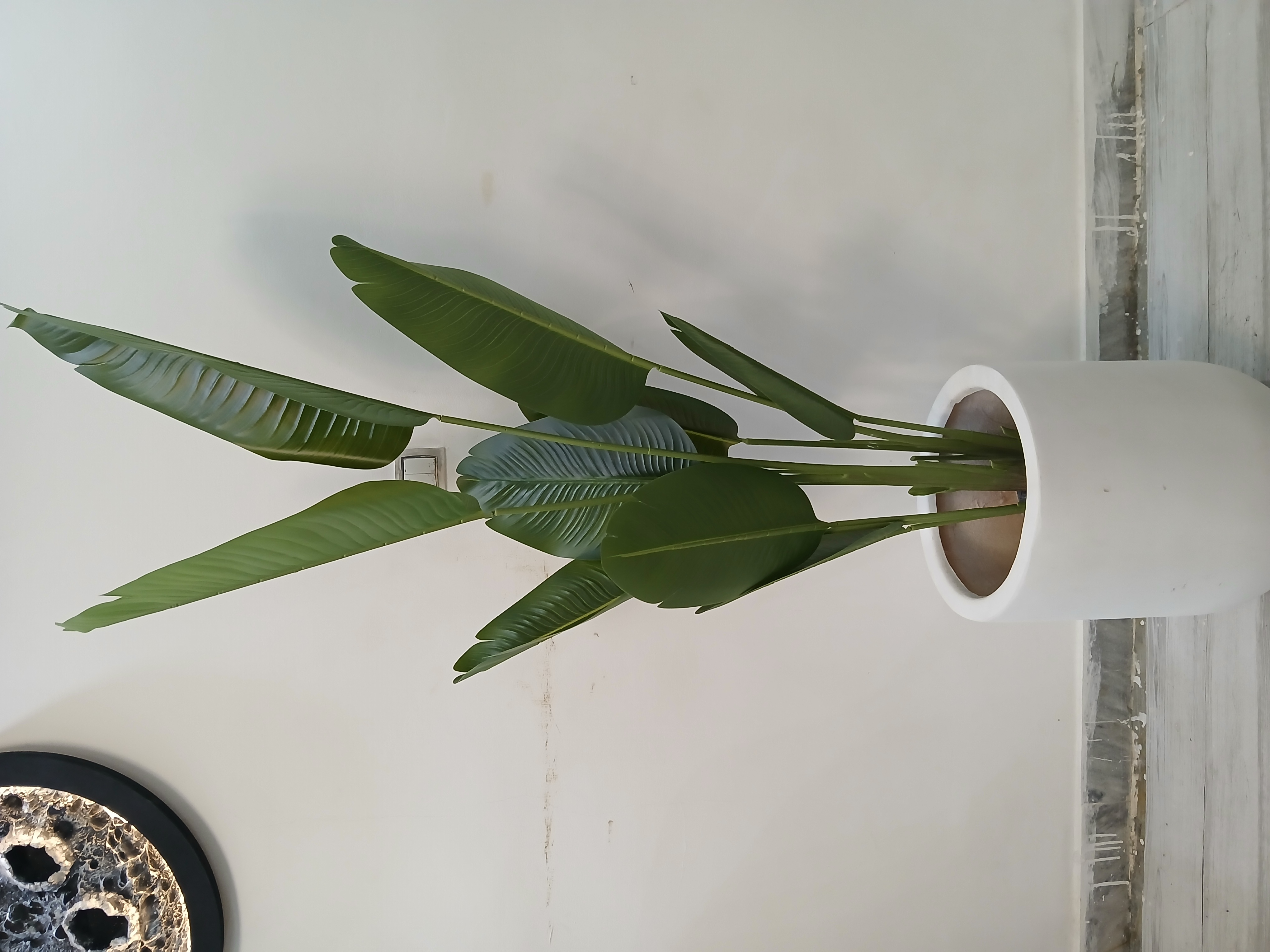 خرید درختچه مصنوعی پرنده بهشتی