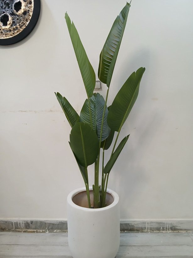 خرید درختچه مصنوعی پرنده بهشتی